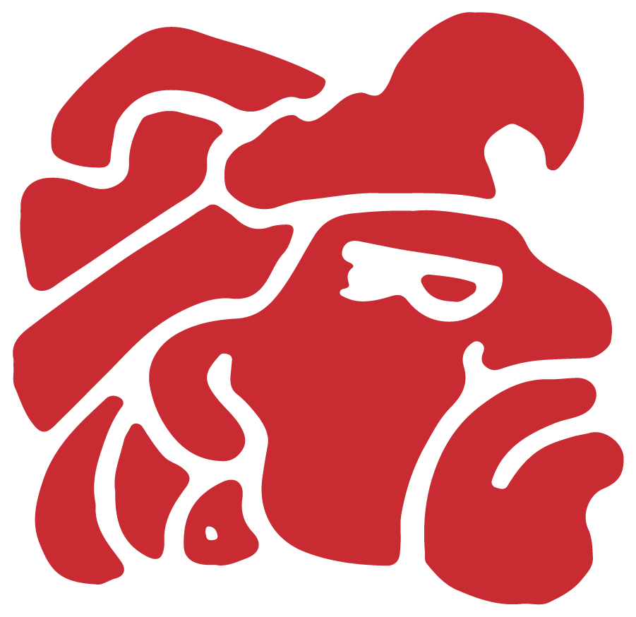 San Diego State Aztecs 1982-1997 Primary Logo diy iron on heat transfer